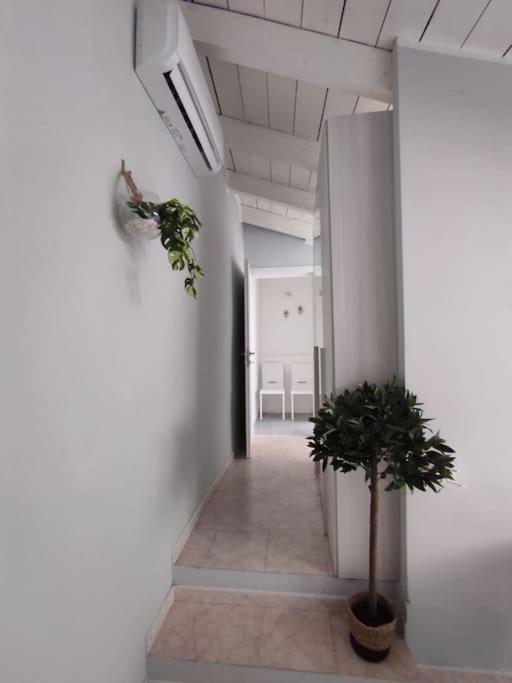 Free Parking Tiny House Wifi Netflix 15 Minuti Dal Duomo Apartment Milano Exterior foto